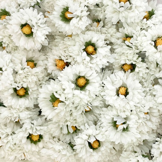 6 White Fabric Ruffled Daisy Blossoms ~ Austria ~ 1-1/8"